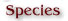 Species